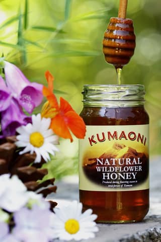 Mahila Umang Producers Co. Ltd's wild honey