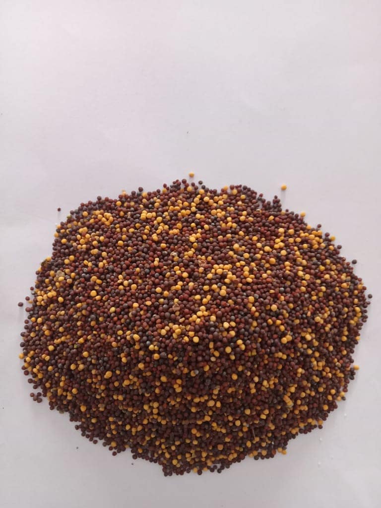 Mustard 250 gm view 2
