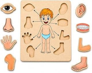 Body Part Puzzle Kids Wooden Toys for Kids 3 + Jigsaw Puzzles for Adults Baby Learning Toys Educational Toys Game for Learning Human Body Parts Anatomy Skeleton - Gift Toys for Boy and Girl