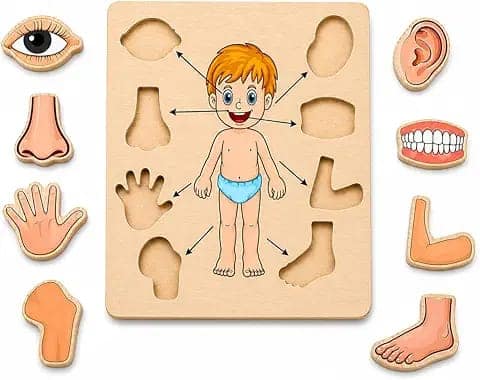 Body Part Puzzle Kids Wooden Toys for Kids 3 + Jigsaw Puzzles for Adults Baby Learning Toys Educational Toys Game for Learning Human Body Parts Anatomy Skeleton - Gift Toys for Boy and Girl view 2