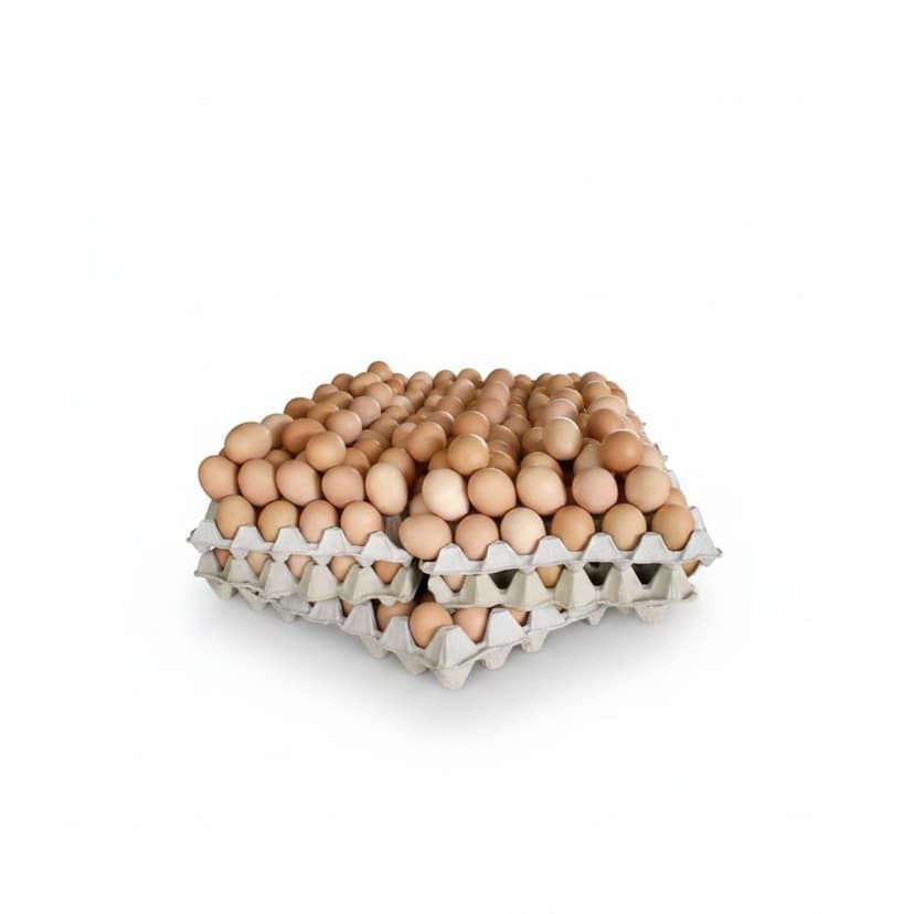 Fresh Farm Eggs - 100 gm - 500 Eggs