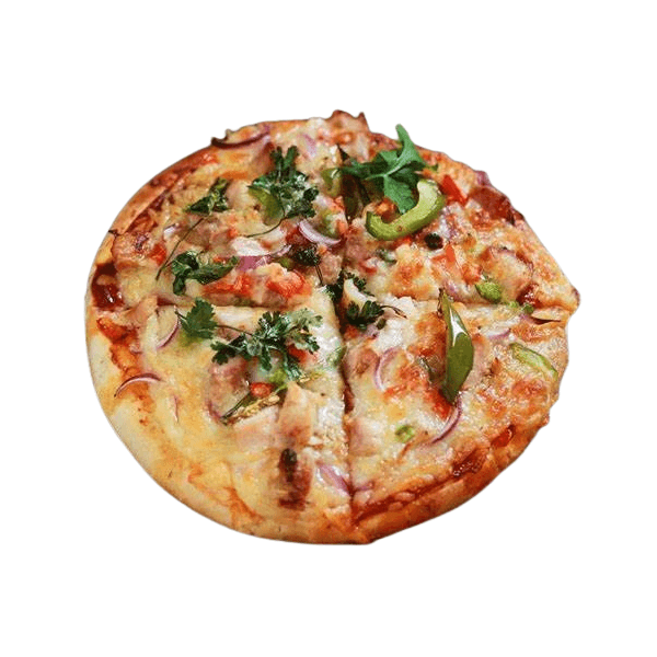 Non Veg Indian Chicken Special Pizza Regular