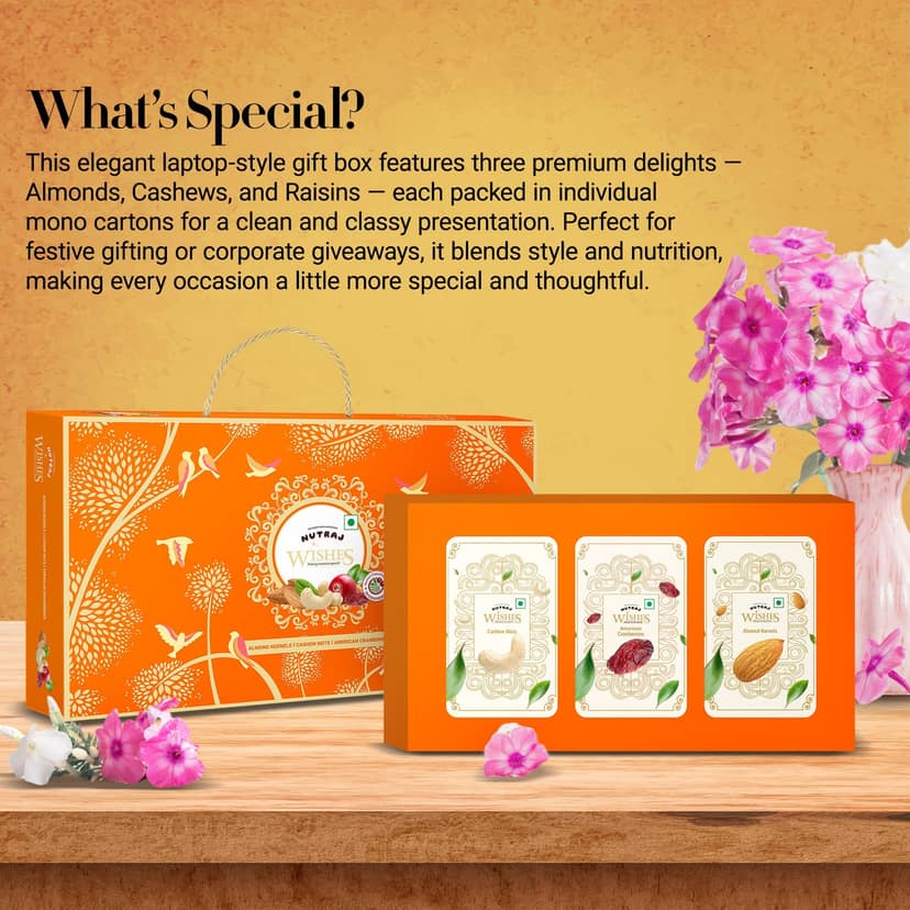 Nutraj Wishes Birds of Bliss Diwali Gift Box 300g | GB-154 view 3