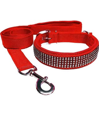 Petshop7 Red Combo (Collar Belt and Leash) ( X-Large )