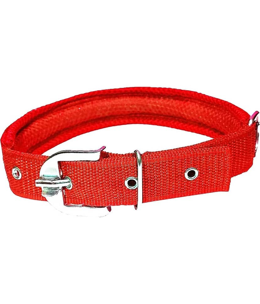 Petshop7 Red Combo (Collar Belt and Leash) ( X-Large ) view 3