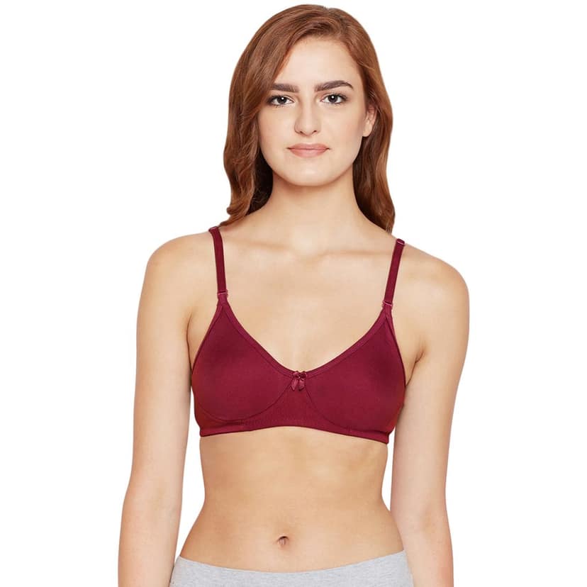 Bodycare Cotton Spandex Lightly Padded Non wired Seamless cup bra-Pack of 3 view 2