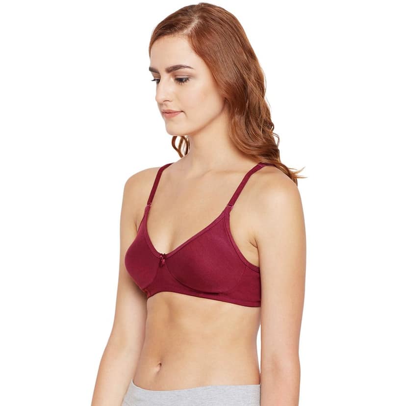 Bodycare Cotton Spandex Lightly Padded Non wired Seamless cup bra-Pack of 3 view 3