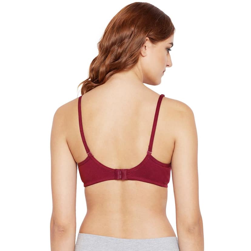 Bodycare Cotton Spandex Lightly Padded Non wired Seamless cup bra-Pack of 3 view 4