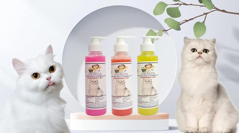 SWACCH Premium Shampoo for Persian CAT (200ML) (Combo Pack of 3) Rose, Jasmine & Lemon
