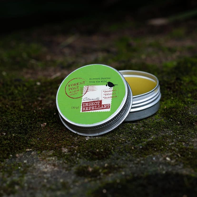 Beeswax Insect Repellent (30 Gram) (1TOROTHTN03193) view 3