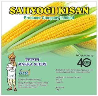 Maize Seed Whole | Makka | 1 kg