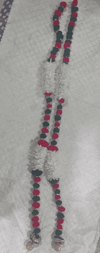 Pom pom n gagra