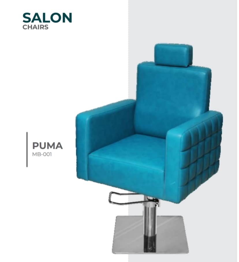 Salon chair