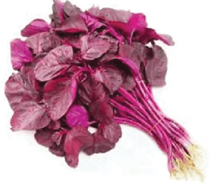 Amaranth - Red 1 pc