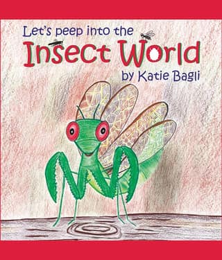 Lets peep into the Insect World