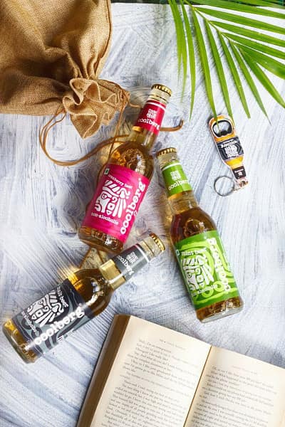 Coolberg fruit beer[cranberry][mp]