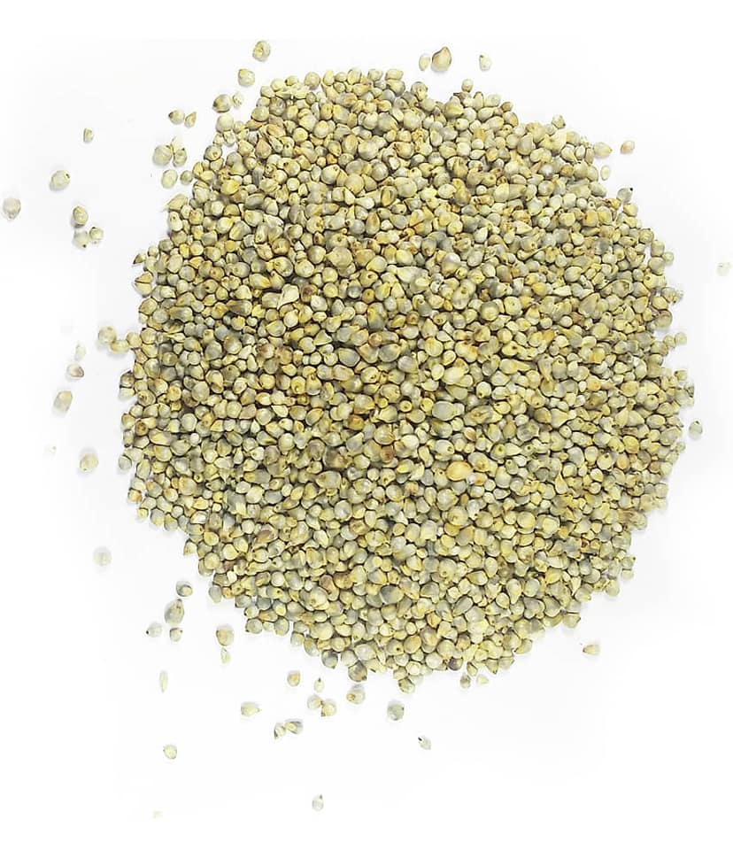 Ekgaon Bajra (Pearl Millet) 950 gm view 4