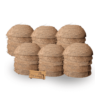 Coco Land Coconut Shell Natural Oval Pot (LARGE SIZE Pack of 30) 250 ml Decorative Pots/Showpieces/Candle Making Bowl /Handicraft/Agro Craft