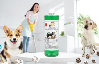 Sacch STAIN & ODOUR REMOVER (1 Litre) Mogra