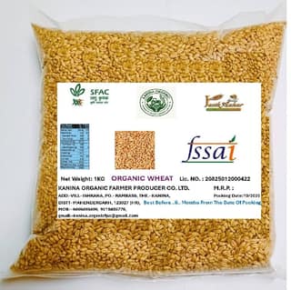 Organic Wheat Seed