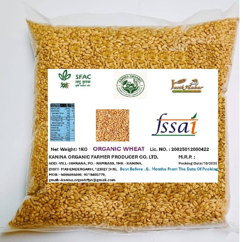 Organic Wheat Seed