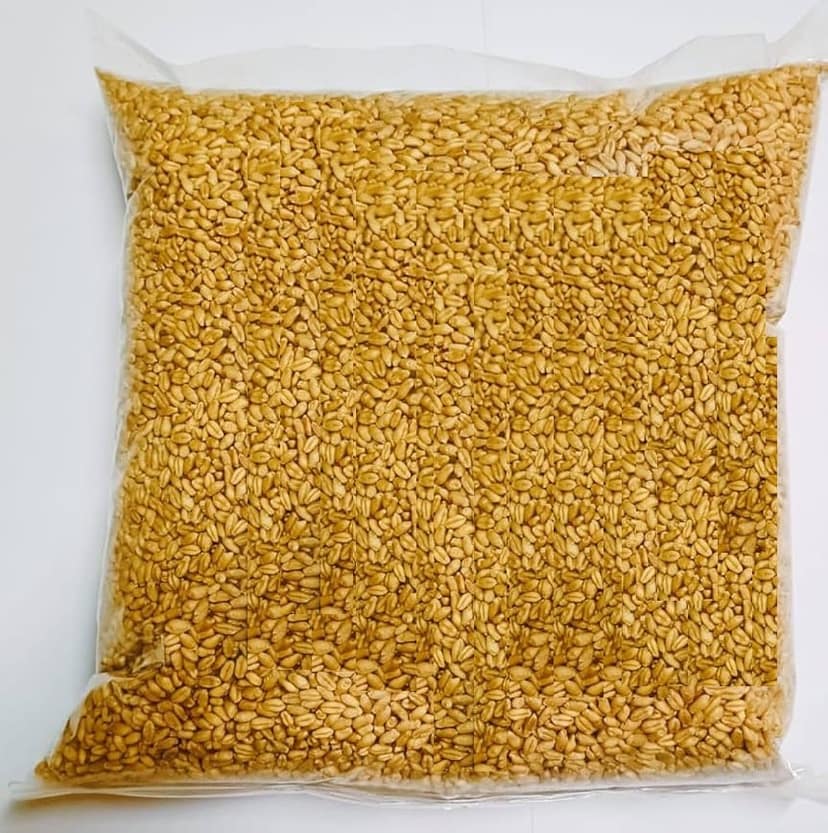 Organic Wheat Seed view 2