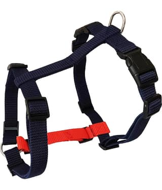 Petshop7 - Blue Harness ( Small )