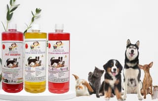 Swacch Pet Shampoo (Jasmine) + Deodorizer (Rose) + Stain Remover (Lemon) (1 Litre) (Combo Pack of 3)