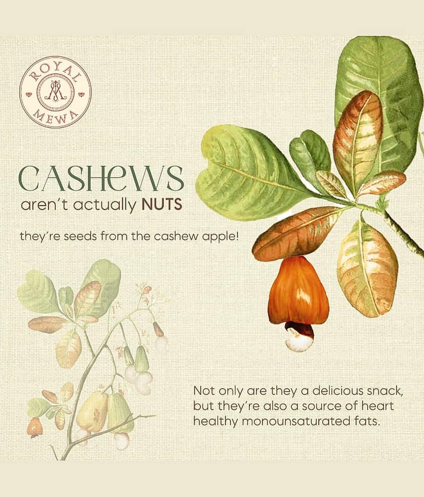 Royal Mewa Cashew nut (Kaju) 250gm view 4