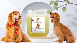 SWACCH Shampoo Specially FORMULATED for Cocker Spaniel (10 Litre) Lemon