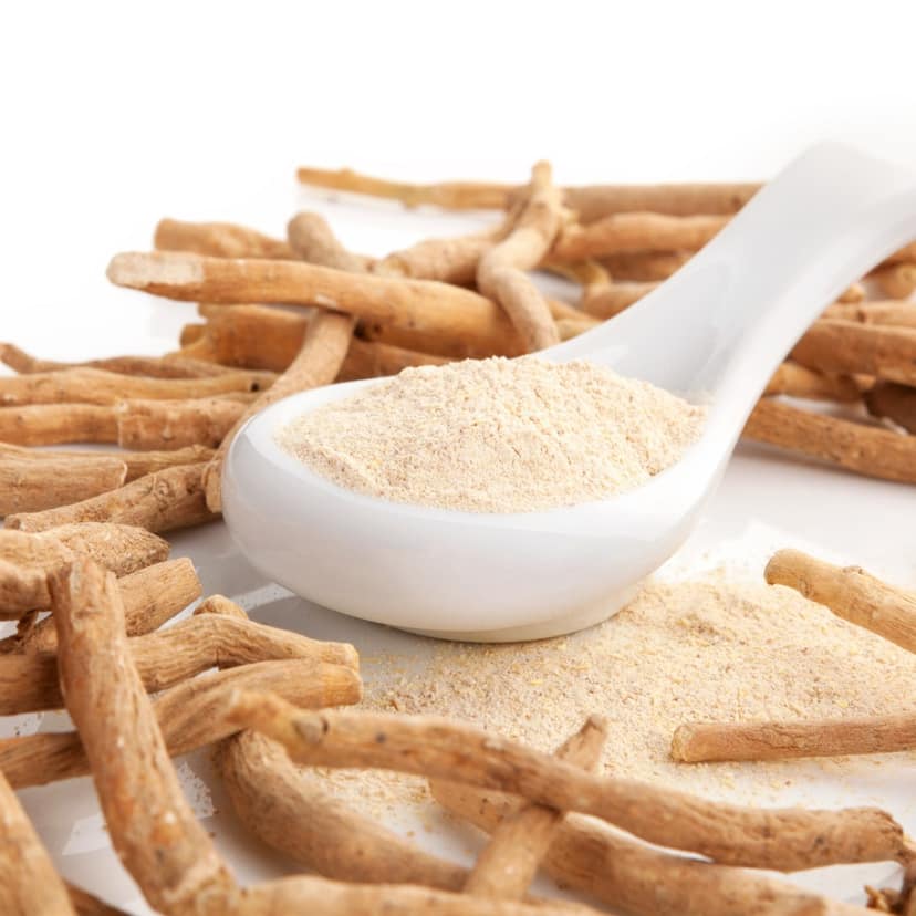 Organic Ashwagandha Powder (Withania somnifera)- 100g view 2