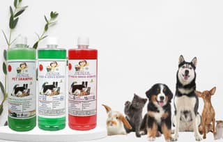 Swacch Shampoo (Neem Alovera) + Deodorizer (Mogra) + Stain Remover (Strawberry) (1 Litre) (Pack of 3)