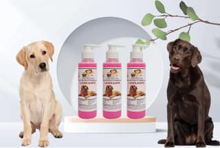 SWACCH Premium Shampoo for Labrador (200ML) (Pack of 3) Rose