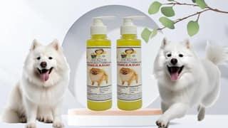 SWACCH Premium Shampoo for Pomeranian (200ML) (Pack of 2) Lemon