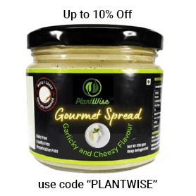 PlantWise Gourmet Spread Cheezy Garlic Flavor (Zero Cholesterol, Zero Lactose, Plant Based) - 200 gm view 2