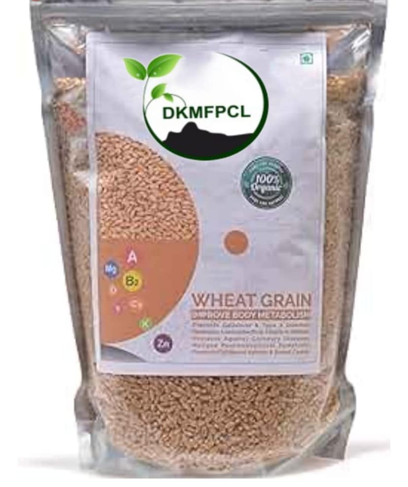 Wheat 1 Kg view 3
