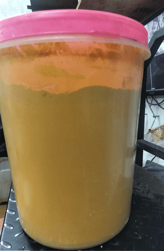 Turmeric power