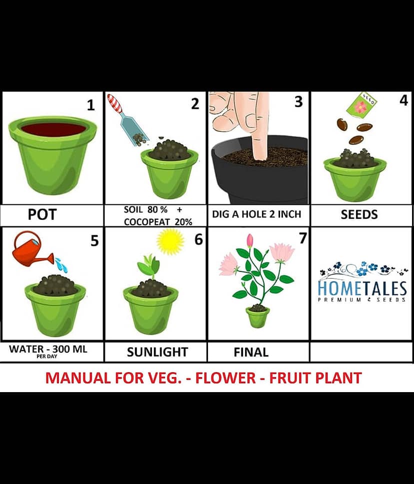 Hybrid Indian Climbing Tomato Vegetable 50 Seeds view 2