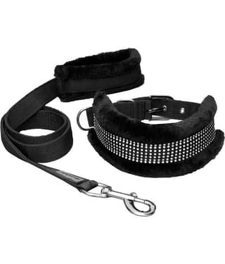 Petshop7 Premium Quality Fur Padded Nylon Dog Collar & Leash Large (Neck Size - 18-22inch)