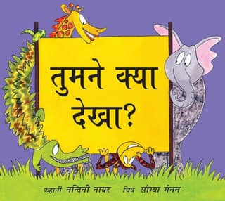 What Did You See?/Tumne Kya Dekha? (Hindi)