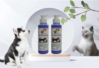 SWACCH Premium Shampoo for PET Shampoo (200ML) (Pack of 2) Lavender