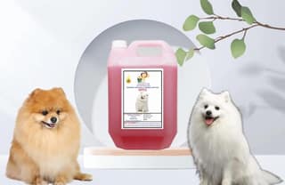 Swacch Shampoo Specially Formulated for Spitz (5 Litre) Jasmine
