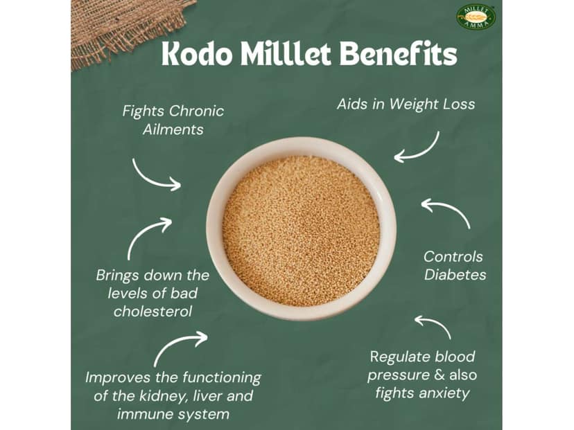 Kodo grain view 2