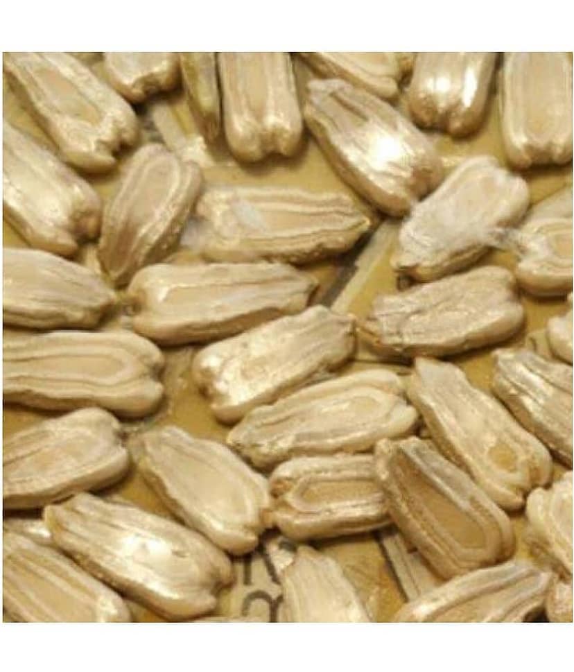 Bottle Gourd F1 Hybrid - Organic Seeds - For Home And Kitchen Garden | (Pack 1 pkt 15 Seeds each) view 2