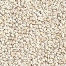 TILLI 500GM view 4