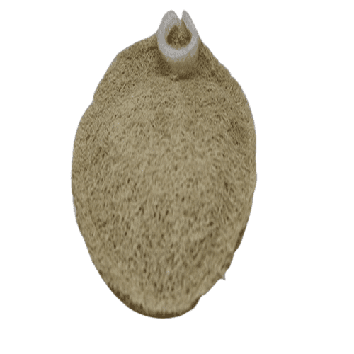 KANDUKUR Natural Loofah Sponge - Eco-Friendly Exfoliating Body Scrubber view 4