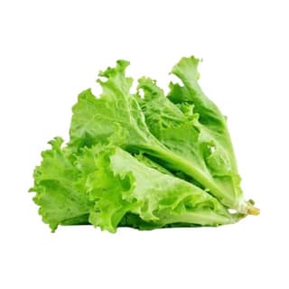 Agrify Fresh Lettuce - Green 2 Pcs