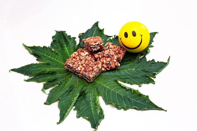 Crunchizz PEANUT CANDY BAR (CHIKKI) I 100 Grams I Pack Of One view 3