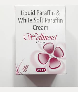 WELLMOIST CREAM (PACK OF 2) Moisturizer 400 GM gm Pack of 2