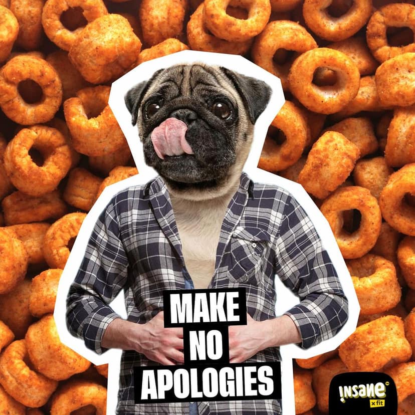 Insane Fit Protein Puffs | Lemon Achari 60g x 4 | Plant Protein | Roasted | Probiotics & Fibre | No Vegetable Oil view 6